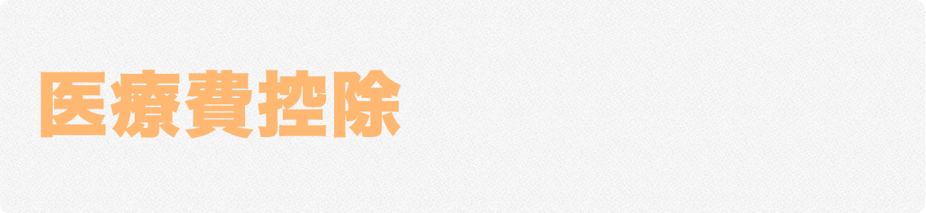 医療費控除ヘッダー